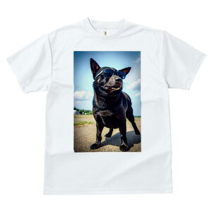 I[XgAPs[ TVc fB[X t@  t  vg JWA 킢 lԗp h ̃fUC ʔ TOX I[XgAPs[  _ 