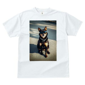 I[XgAPs[ TVc fB[X t@  t  vg JWA 킢 lԗp h ̃fUC ʔ TOX I[XgAPs[ 