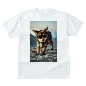 I[XgALghbO TVc fB[X t@  t  vg JWA 킢 lԗp h ̃fUC ʔ TOX I[XgALg