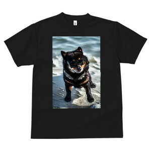 Č TVc fB[X t@  t  vg JWA 킢 lԗp h ̃fUC ʔ TOX Č C