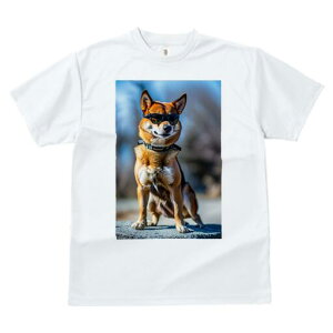 Č TVc fB[X t@  t  vg JWA 킢 lԗp h ̃fUC ʔ TOX Č