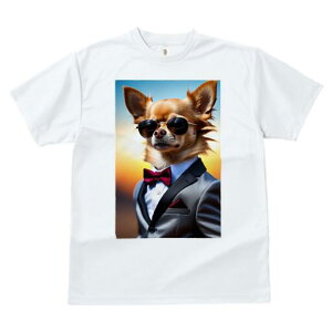 ` TVc fB[X t@  t  vg JWA 킢 lԗp h ̃fUC ʔ TOX ` X[c lN^C |Pbg`[t