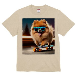 |jA TVc Y LbY t@  t  vg JWA 킢 lԗp h ̃fUC ʔ TOX |jA XP[g{[h