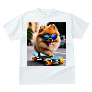 |jA TVc Y LbY t@  t  vg JWA 킢 lԗp h ̃fUC ʔ TOX |jA XP[g{[h