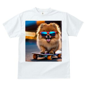 |jA TVc Y LbY t@  t  vg JWA 킢 lԗp h ̃fUC ʔ TOX |jA XP[g{[h