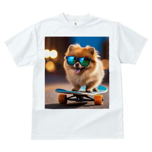 |jA TVc fB[X t@  t  vg JWA 킢 lԗp h ̃fUC ʔ XP[g{[h |jA TOX