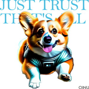 F R[M[ NbVJo[ 45×45cm Aj}   NbV{̕t ` t@