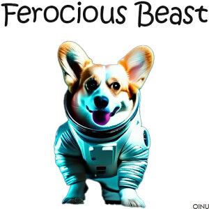 F R[M[ NbVJo[ 45×45cm Aj}   NbV{̕t ` t@