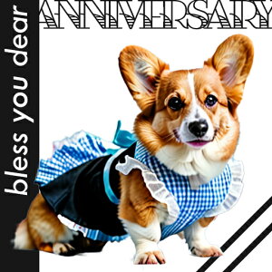  R[M[ s[X NbVJo[ 45×45cm Aj}   NbV{̕t ` t@