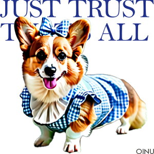  R[M[ `FbN NbVJo[ 45×45cm Aj}   NbV{̕t ` t@