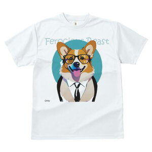 R[M[ TVc fB[X t@  t  vg JWA 킢 lԗp h ̃fUC ʔ Kl R[M[ X[c lN^C