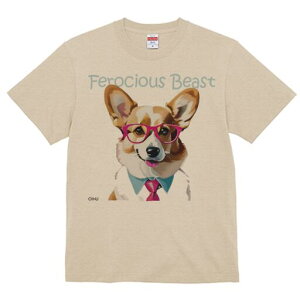 R[M[ TVc Y LbY t@  t  vg JWA 킢 lԗp h ̃fUC ʔ Kl R[M[ lN^C Vc