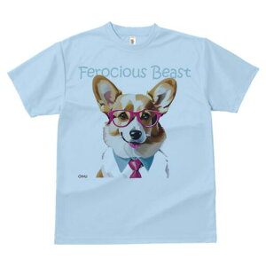 R[M[ TVc Y LbY t@  t  vg JWA 킢 lԗp h ̃fUC ʔ Kl R[M[ lN^C Vc