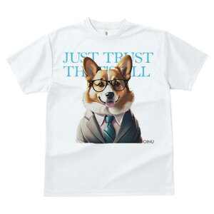 R[M[ TVc fB[X t@  t  vg JWA 킢 lԗp h ̃fUC ʔ X[c R[M[ lN^C Kl