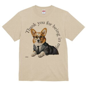 R[M[ TVc Y LbY t@  t  vg JWA 킢 lԗp h ̃fUC ʔ X[c R[M[ Kl