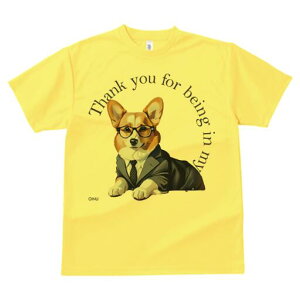 R[M[ TVc Y LbY t@  t  vg JWA 킢 lԗp h ̃fUC ʔ X[c R[M[ Kl