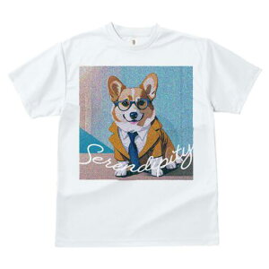 R[M[ TVc fB[X t@  t  vg JWA 킢 lԗp h ̃fUC ʔ X[c R[M[ Kl