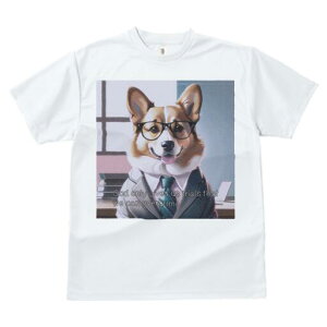 R[M[ TVc Y LbY t@  t  vg JWA 킢 lԗp h ̃fUC ʔ Kl R[M[ X[c lN^C ItBX