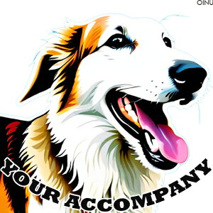 �{�[�_�[�R���[ �N�b�V�����J�o�[ 45×45cm �A�j�}���� ������� ���� �N�b�V�����{�̕t�� �����` ���t�@��