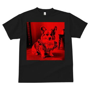 R[M[ TVc Y LbY t@  t  vg JWA 킢 lԗp h ̃fUC ʔ lN^C R[M[ ߑ