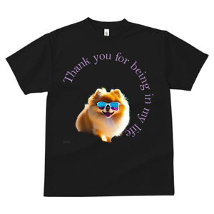 |jA TVc fB[X t@  t  vg JWA 킢 lԗp h ̃fUC ʔ TOX |jA