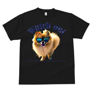 |jA TVc fB[X t@  t  vg JWA 킢 lԗp h ̃fUC ʔ TOX |jA N[ ʔ 킢