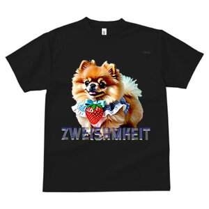 |jA TVc fB[X t@  t  vg JWA 킢 lԗp h ̃fUC ʔ  |jA {