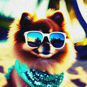 TOX |jA C V̖ o_i NbVJo[ 45×45cm Aj}   NbV{̕t ` t@