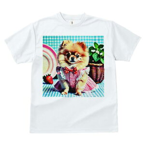 |jA TVc fB[X t@  t  vg JWA 킢 lԗp h ̃fUC ʔ C`S |jA A `FbN