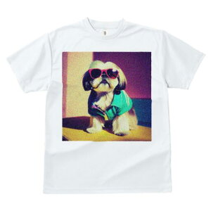 V[Y[ TVc fB[X t@  t  vg JWA 킢 lԗp h ̃fUC ʔ TOX V[Y[ 