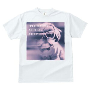 V[Y[ TVc fB[X t@  t  vg JWA 킢 lԗp h ̃fUC ʔ TOX V[Y[