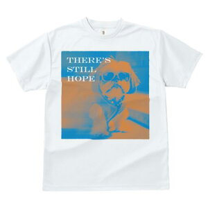 V[Y[ TVc fB[X t@  t  vg JWA 킢 lԗp h ̃fUC ʔ TOX V[Y[ 킢 