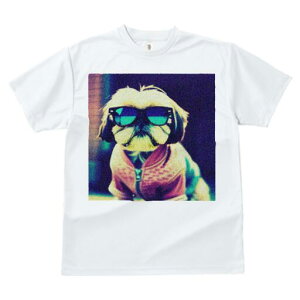 V[Y[ TVc fB[X t@  t  vg JWA 킢 lԗp h ̃fUC ʔ TOX V[Y[ WPbg