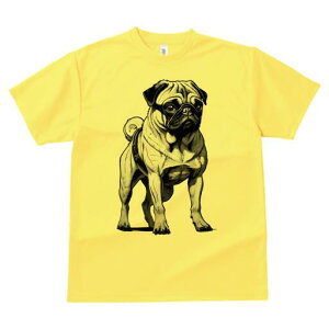 pO TVc Y LbY t@  t  vg JWA 킢 lԗp h ̃fUC ʔ Kl pO mN