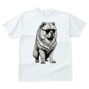 `E`E TVc fB[X t@  t  vg JWA 킢 lԗp h ̃fUC ʔ TOX `E`E