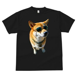 Č TVc fB[X t@  t  vg JWA 킢 lԗp h ̃fUC ʔ TOX Č