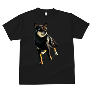 Č TVc fB[X t@  t  vg JWA 킢 lԗp h ̃fUC ʔ TOX Č