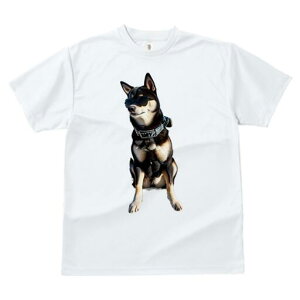 Č TVc fB[X t@  t  vg JWA 킢 lԗp h ̃fUC ʔ TOX Č 