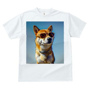 Č TVc fB[X t@  t  vg JWA 킢 lԗp h ̃fUC ʔ TOX Č