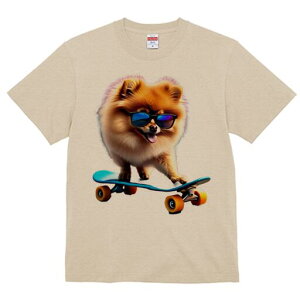 |jA TVc Y LbY t@  t  vg JWA 킢 lԗp h ̃fUC ʔ XP[g{[h |jA TOX