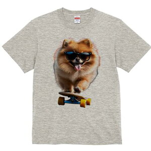 |jA TVc Y LbY t@  t  vg JWA 킢 lԗp h ̃fUC ʔ TOX |jA XP[g{[h