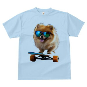 |jA TVc Y LbY t@  t  vg JWA 킢 lԗp h ̃fUC ʔ XP[g{[h |jA TOX