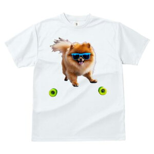 |jA TVc fB[X t@  t  vg JWA 킢 lԗp h ̃fUC ʔ TOX |jA XP[g{[h