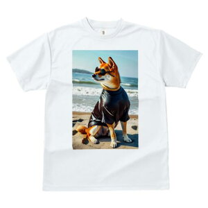 Č TVc fB[X t@  t  vg JWA 킢 lԗp h ̃fUC ʔ TOX Č r[` C