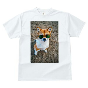 Č TVc fB[X t@  t  vg JWA 킢 lԗp h ̃fUC ʔ TOX Č