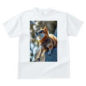 Č TVc fB[X t@  t  vg JWA 킢 lԗp h ̃fUC ʔ TOX Č n[lX