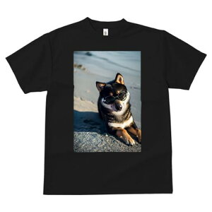 Č TVc fB[X t@  t  vg JWA 킢 lԗp h ̃fUC ʔ TOX Č l