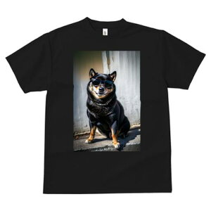 Č TVc fB[X t@  t  vg JWA 킢 lԗp h ̃fUC ʔ TOX Č