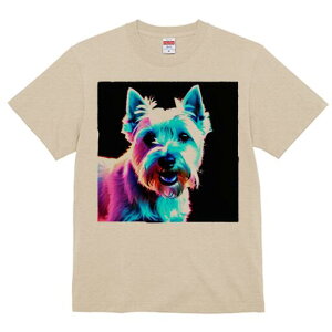 EGXgnChzCgeA TVc Y LbY t@  t  vg JWA 킢 lԗp h ̃fUC ʔ EGXgnChzCge