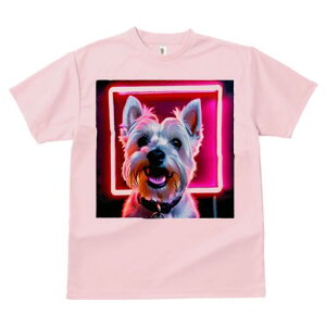 EGXgnChzCgeA TVc Y LbY t@  t  vg JWA 킢 lԗp h ̃fUC ʔ lITC EGXgnC